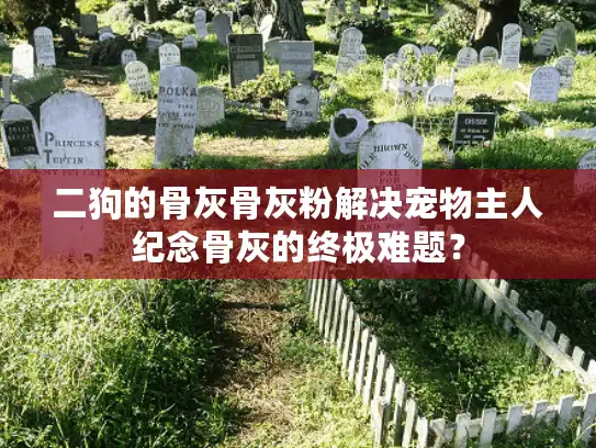 二狗的骨灰骨灰粉解决宠物主人纪念骨灰的终极难题？