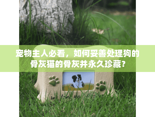宠物主人必看，如何妥善处理狗的骨灰猫的骨灰并永久珍藏？