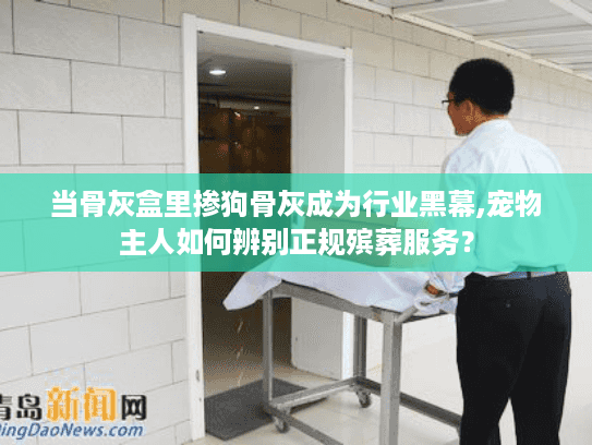 当骨灰盒里掺狗骨灰成为行业黑幕,宠物主人如何辨别正规殡葬服务？