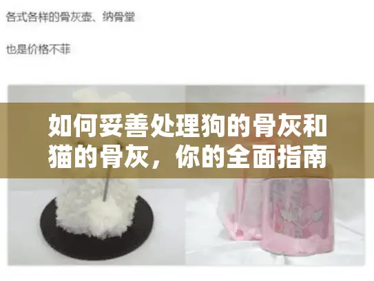 如何妥善处理狗的骨灰和猫的骨灰,你的全面指南 如何妥善处理狗的骨灰和猫的骨灰,你的全面指南