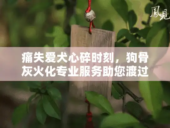 痛失爱犬心碎时刻，狗骨灰火化专业服务助您渡过难关