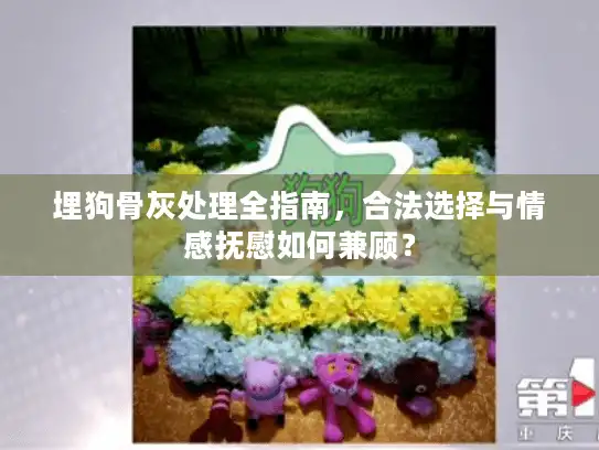 埋狗骨灰处理全指南,合法选择与情感抚慰如何兼顾? 埋狗骨灰处理全指南,合法选择与情感抚慰如何兼顾?