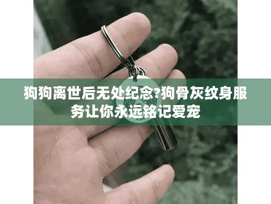 狗狗离世后无处纪念?狗骨灰纹身服务让你永远铭记爱宠 狗狗离世后无处纪念?狗骨灰纹身服务让你永远铭记爱宠