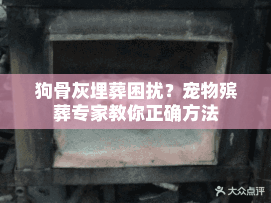 狗骨灰埋葬困扰？宠物殡葬专家教你正确方法