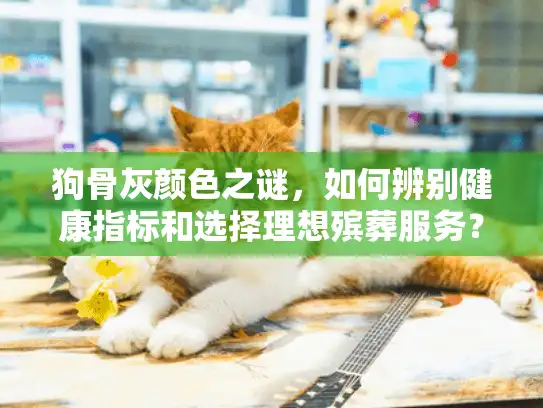 狗骨灰颜色之谜，如何辨别健康指标和选择理想殡葬服务？