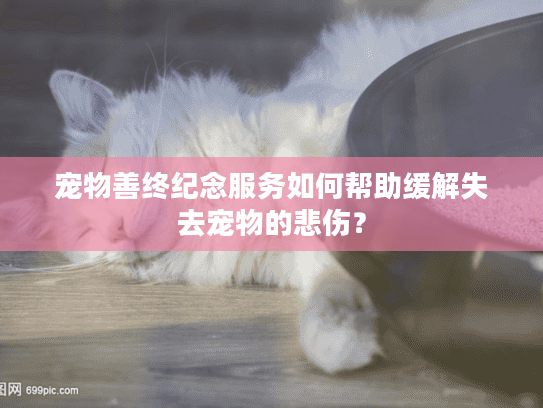 宠物善终纪念服务如何帮助缓解失去宠物的悲伤? 宠物善终纪念服务如何帮助缓解失去宠物的悲伤?