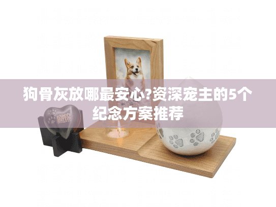 狗骨灰放哪最安心?资深宠主的5个纪念方案推荐