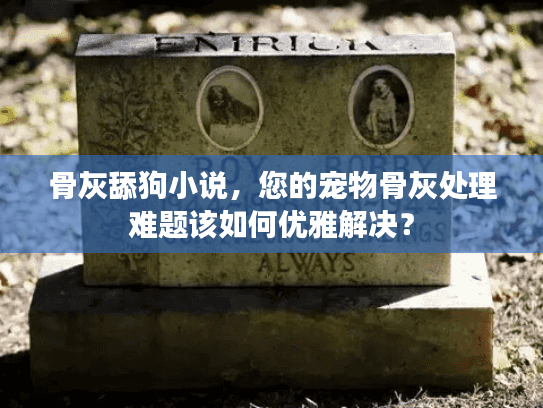 骨灰舔狗小说，您的宠物骨灰处理难题该如何优雅解决？