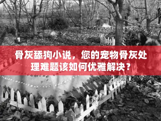 骨灰舔狗小说，您的宠物骨灰处理难题该如何优雅解决？