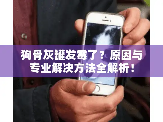 狗骨灰罐发霉了?原因与专业解决方法全解析! 狗骨灰罐发霉了?原因与专业解决方法全解析!