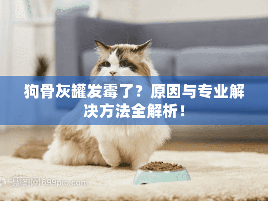 狗骨灰罐发霉了?原因与专业解决方法全解析! 狗骨灰罐发霉了?原因与专业解决方法全解析!