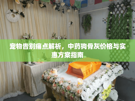 宠物告别痛点解析，中药狗骨灰价格与实惠方案指南