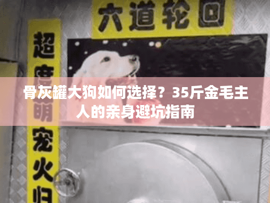 骨灰罐大狗如何选择？35斤金毛主人的亲身避坑指南