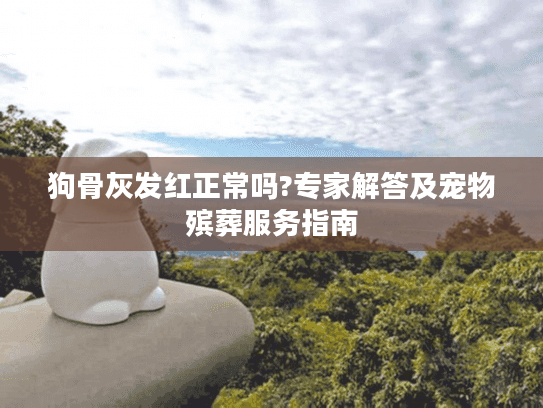 狗骨灰发红正常吗?专家解答及宠物殡葬服务指南