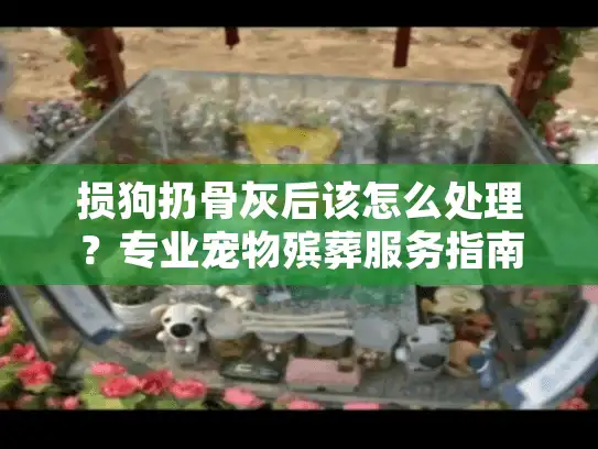 损狗扔骨灰后该怎么处理?专业宠物殡葬服务指南 损狗扔骨灰后该怎么处理?专业宠物殡葬服务指南