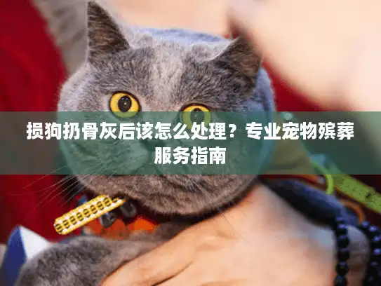 损狗扔骨灰后该怎么处理?专业宠物殡葬服务指南 损狗扔骨灰后该怎么处理?专业宠物殡葬服务指南