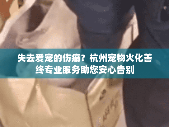 失去爱宠的伤痛?杭州宠物火化善终专业服务助您安心告别 失去爱宠的伤痛?杭州宠物火化善终专业服务助您安心告别