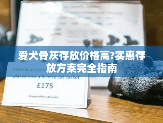 爱犬骨灰存放价格高?实惠存放方案完全指南