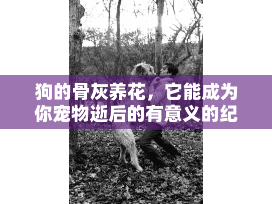 狗的骨灰养花，它能成为你宠物逝后的有意义的纪念吗？