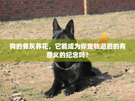 狗的骨灰养花，它能成为你宠物逝后的有意义的纪念吗？