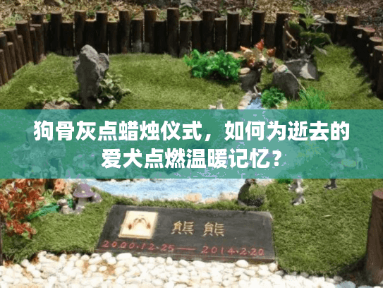 狗骨灰点蜡烛仪式，如何为逝去的爱犬点燃温暖记忆？