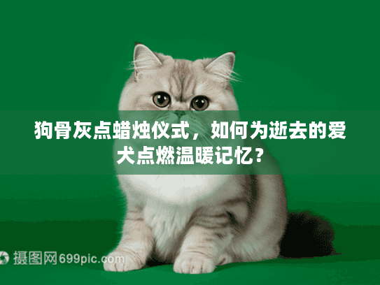 狗骨灰点蜡烛仪式，如何为逝去的爱犬点燃温暖记忆？