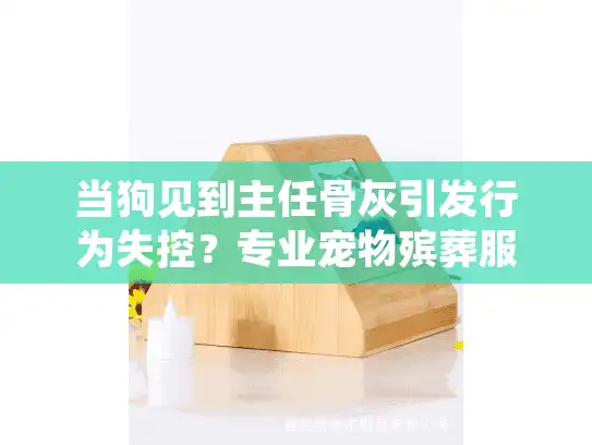 当狗见到主任骨灰引发行为失控？专业宠物殡葬服务如何安抚狗狗情绪