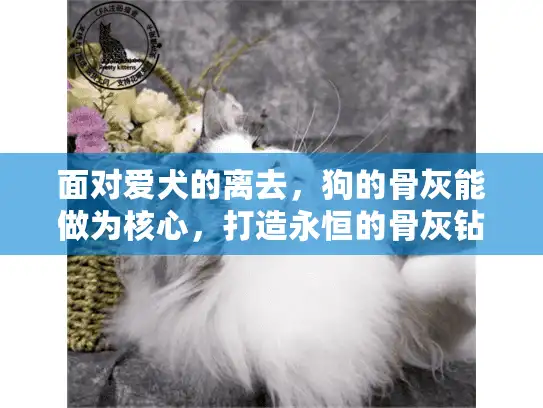 面对爱犬的离去,狗的骨灰能做为核心,打造永恒的骨灰钻石纪念 面对爱犬的离去,狗的骨灰能做为核心,打造永恒的骨灰钻石纪念