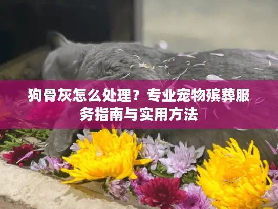狗骨灰怎么处理？专业宠物殡葬服务指南与实用方法