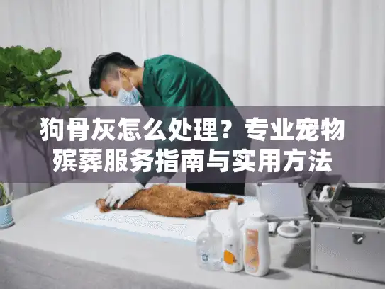 狗骨灰怎么处理？专业宠物殡葬服务指南与实用方法
