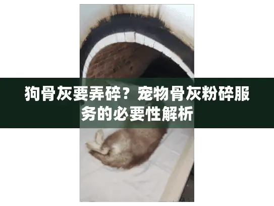狗骨灰要弄碎？宠物骨灰粉碎服务的必要性解析