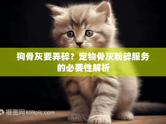 狗骨灰要弄碎？宠物骨灰粉碎服务的必要性解析