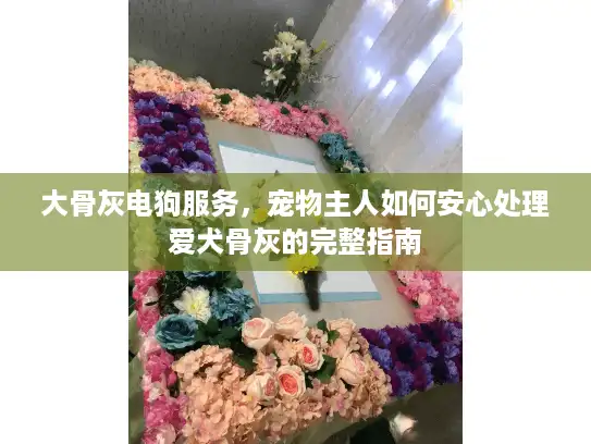 大骨灰电狗服务，宠物主人如何安心处理爱犬骨灰的完整指南