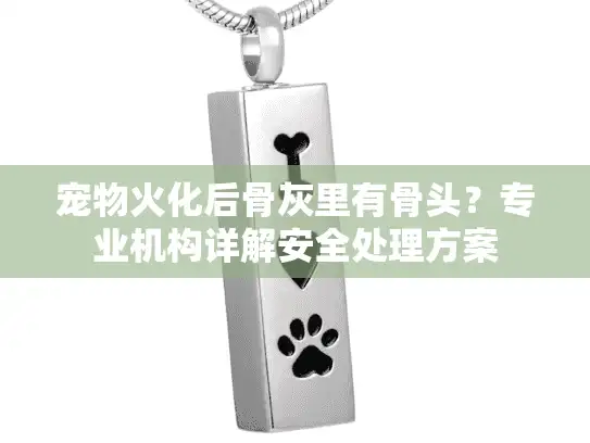 宠物火化后骨灰里有骨头？专业机构详解安全处理方案