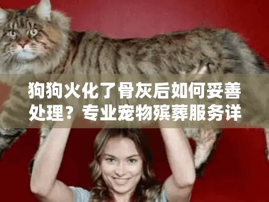 狗狗火化了骨灰后如何妥善处理？专业宠物殡葬服务详细指南