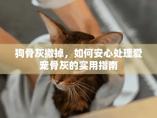 狗骨灰撒掉,如何安心处理爱宠骨灰的实用指南 狗骨灰撒掉,如何安心处理爱宠骨灰的实用指南