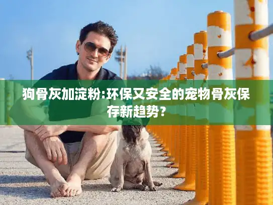 狗骨灰加淀粉:环保又安全的宠物骨灰保存新趋势？