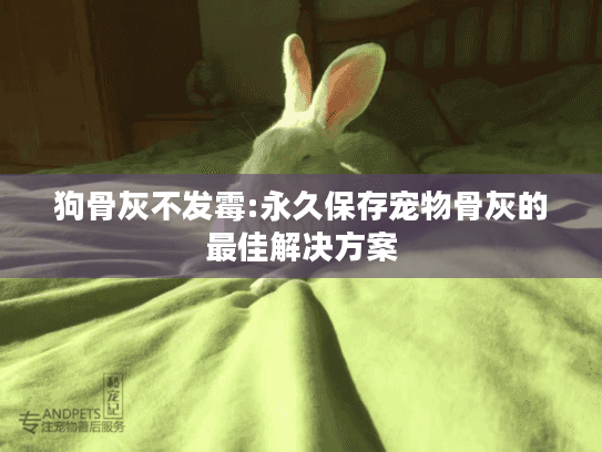 狗骨灰不发霉:永久保存宠物骨灰的最佳解决方案