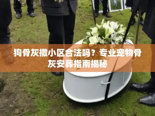 狗骨灰撒小区合法吗？专业宠物骨灰安葬指南揭秘
