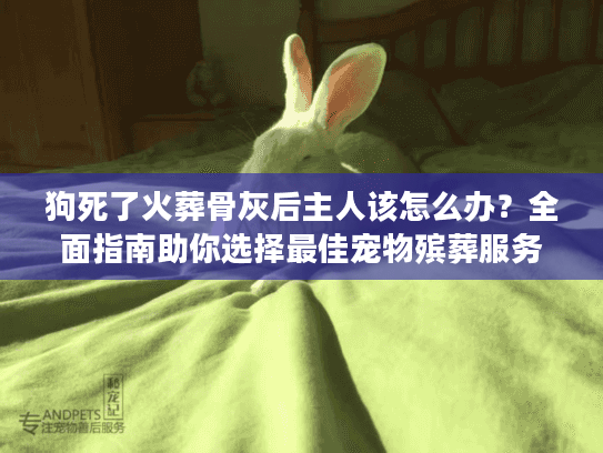 狗死了火葬骨灰后主人该怎么办?全面指南助你选择最佳宠物殡葬服务 狗死了火葬骨灰后主人该怎么办?全面指南助你选择最佳宠物殡葬服务