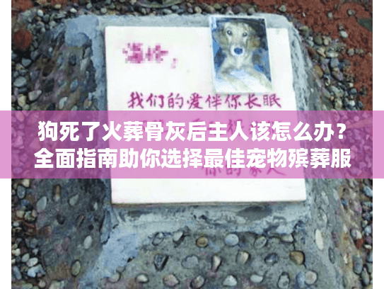 狗死了火葬骨灰后主人该怎么办?全面指南助你选择最佳宠物殡葬服务 狗死了火葬骨灰后主人该怎么办?全面指南助你选择最佳宠物殡葬服务