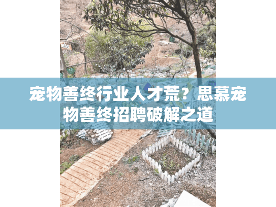 宠物善终行业人才荒？思慕宠物善终招聘破解之道
