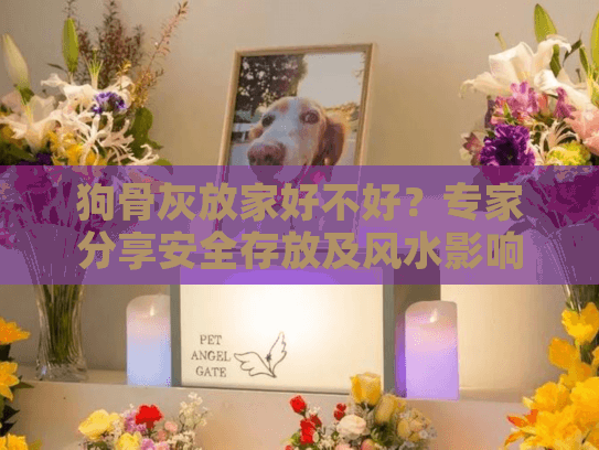狗骨灰放家好不好？专家分享安全存放及风水影响真相