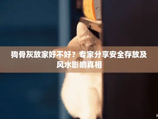 狗骨灰放家好不好？专家分享安全存放及风水影响真相