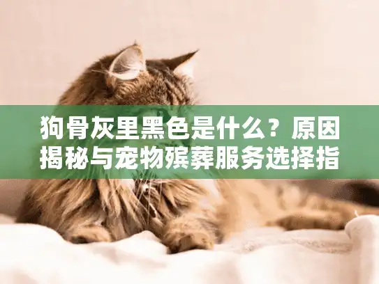 狗骨灰里黑色是什么？原因揭秘与宠物殡葬服务选择指南