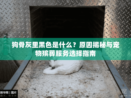 狗骨灰里黑色是什么？原因揭秘与宠物殡葬服务选择指南
