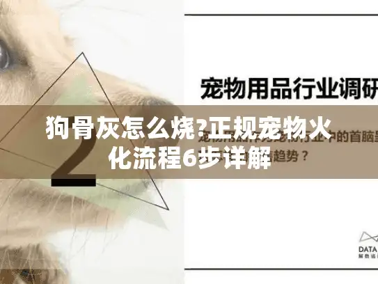 狗骨灰怎么烧?正规宠物火化流程6步详解