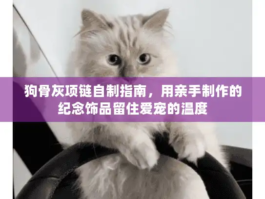 狗骨灰项链自制指南，用亲手制作的纪念饰品留住爱宠的温度