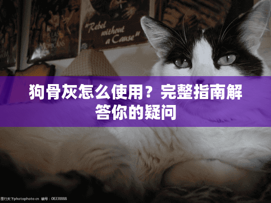 狗骨灰怎么使用?完整指南解答你的疑问 狗骨灰怎么使用?完整指南解答你的疑问