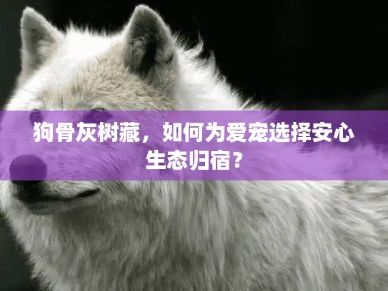 狗骨灰树藏，如何为爱宠选择安心生态归宿？